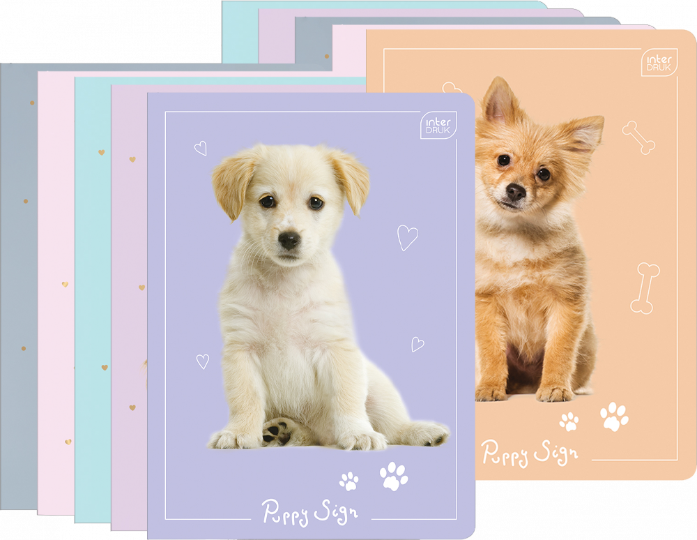 10x Zeszyt w kratkę Interdruk UV Puppy Sign, A5, 16 kartek, mix wzorów