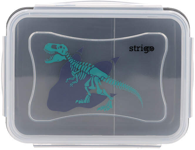 Lunchbox Strigo Noise, 16.5x12x6.5cm, transparentny