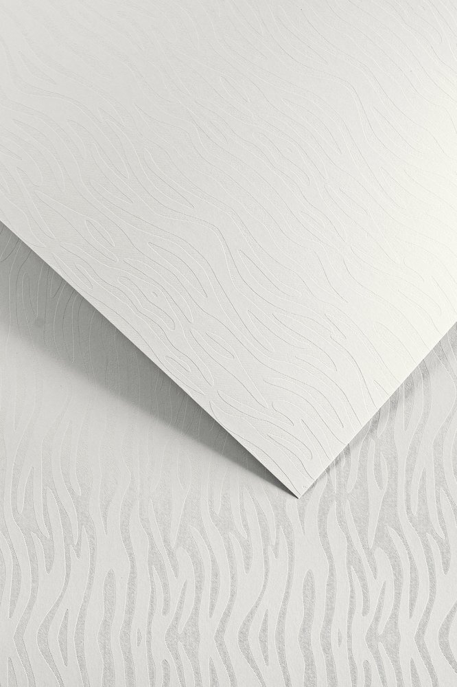 2x Karton ozdobny Pacific Galeria Papieru, A4, 200g/m2, 20 arkuszy, biały