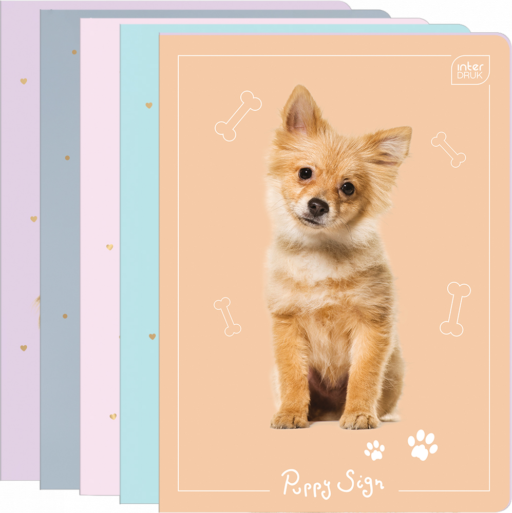 5x Zeszyt w kratkę Interdruk UV Puppy Sign, A5, 16 kartek, mix wzorów