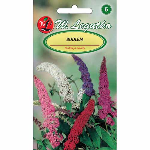 1 pac, Liliac de vară, mix multicolor - Semințe: Mod de ambalare: 0.01 g