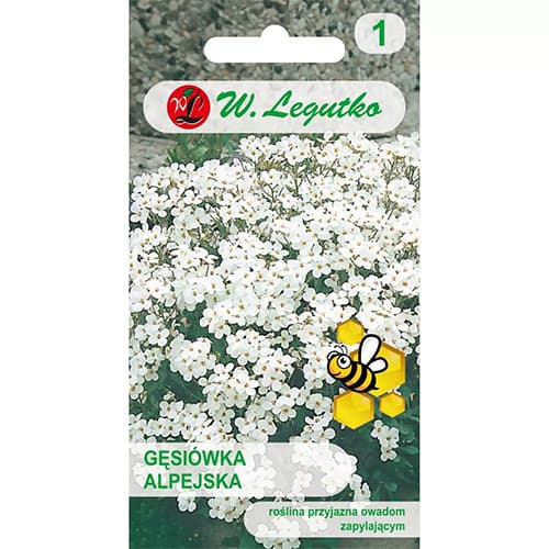 1 pac, Gâscăriță alpină, mix multicolor - Semințe: Mod de ambalare: 0.3 g
