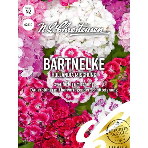 1 pac, Garoafă turcească Hollandia, mix multicolor - Semințe: Mod de ambalare: 1 pac