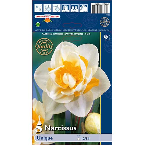 5 kus, Narcis Unique - : Monžstvo balíkov: 5 kus