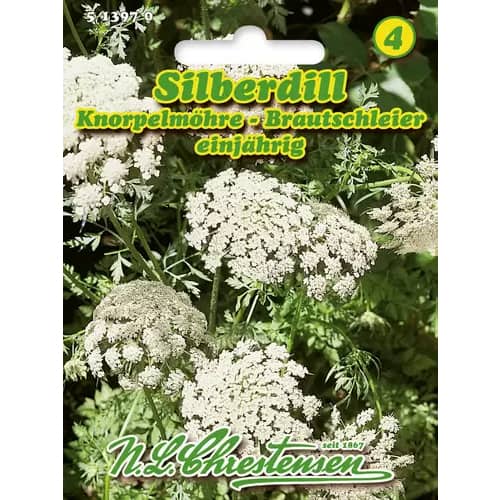 1 szt, Silberdill Brautschleier Knorpelmöhre - Samen: Ilość w opakowaniu: 1 Stück