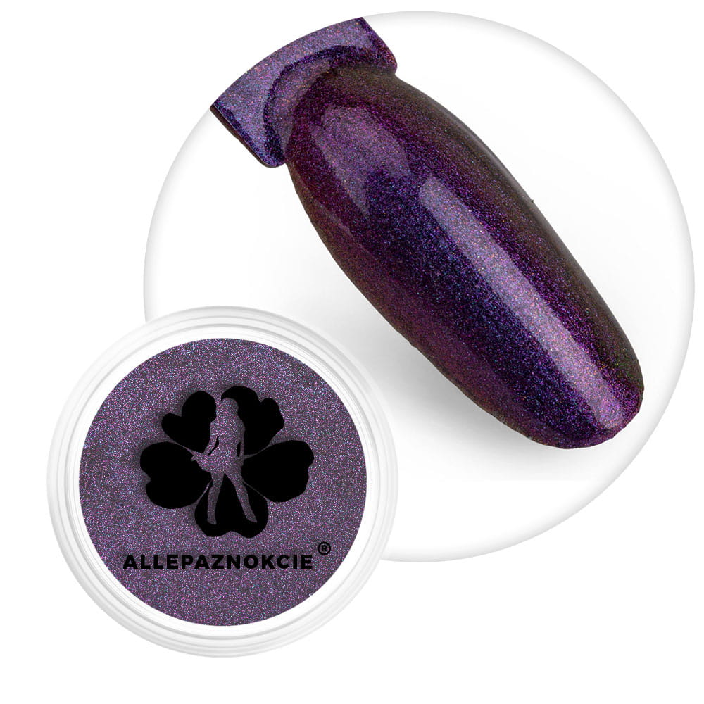 Pyłek do paznokci Chameleon premium Allepaznokcie amethyst Nr 4