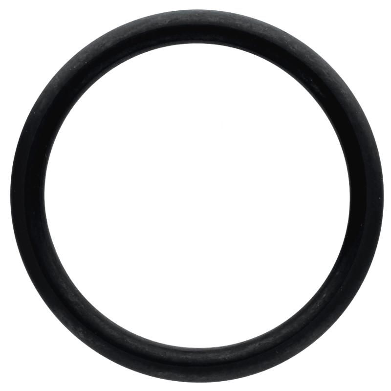 Oring Massey Ferguson Merlo V614604958