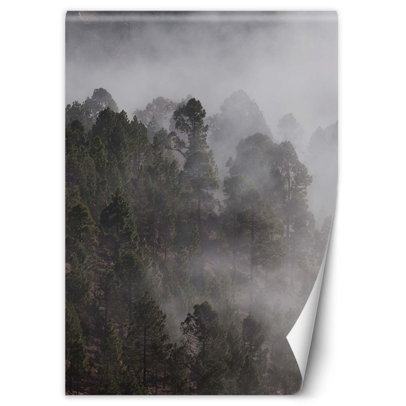 Fototapeta Feeby Zielony las we mgle 100x140 1 szt