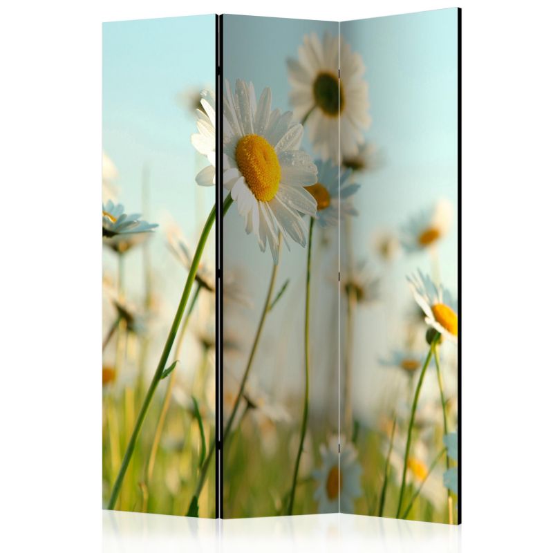 Parawan dwustronny Artgeist Kwiaty 135x172 cm Kwiaty 1 szt