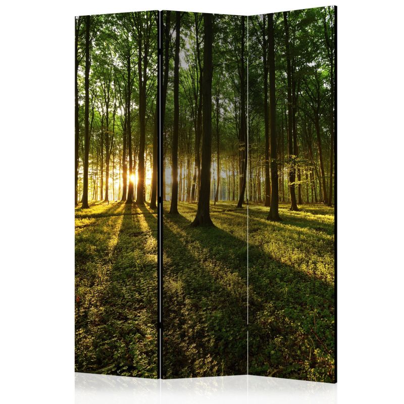 Parawan akustyczny Artgeist Pejzaże 135x172 cm Pejzaże 1 szt