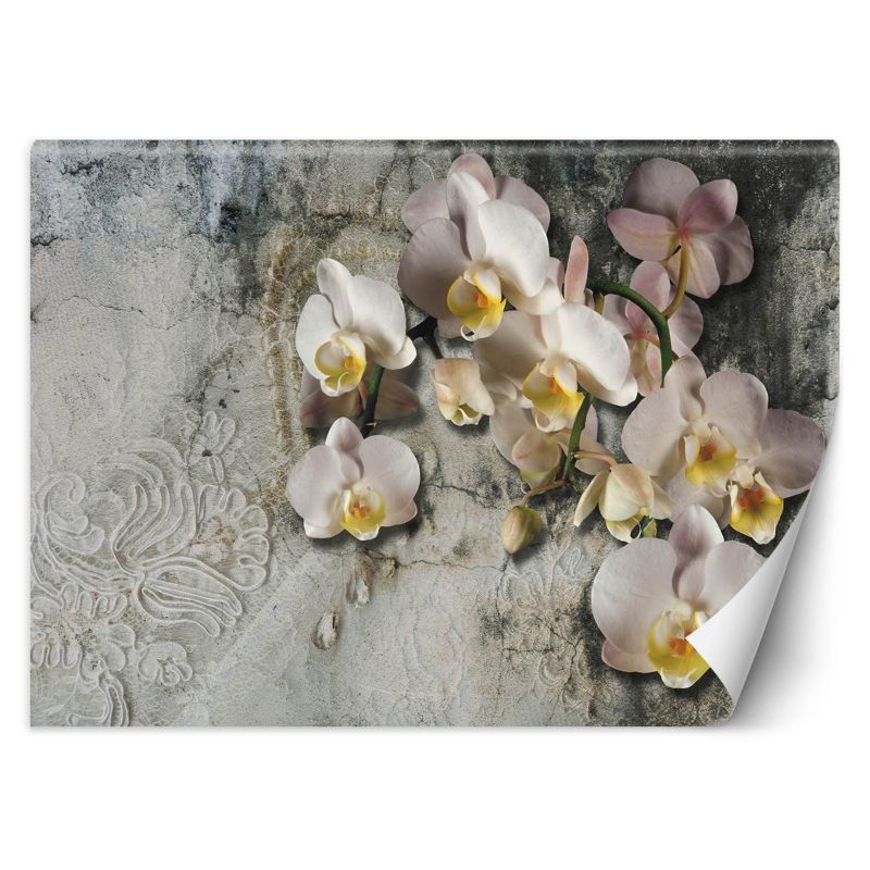 Fototapeta Feeby Orchidea kwiaty na tle starej ściany 368x254 1 szt