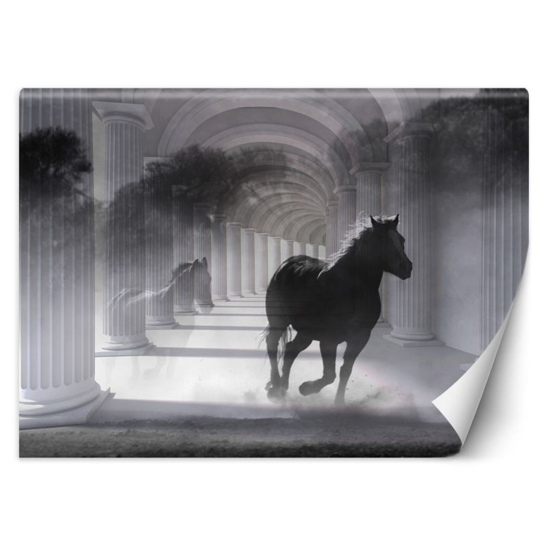 Fototapeta Feeby Tunel biegnący koń efekt 3D 400x280 1 szt
