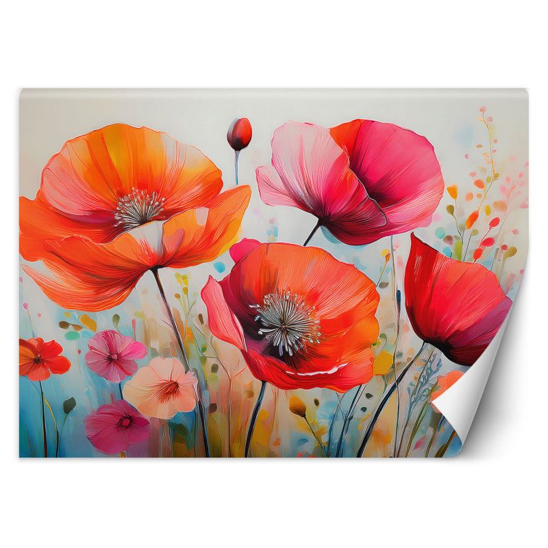 Fototapeta Feeby Maki Kwiaty Kolorowy 150x105 1 szt