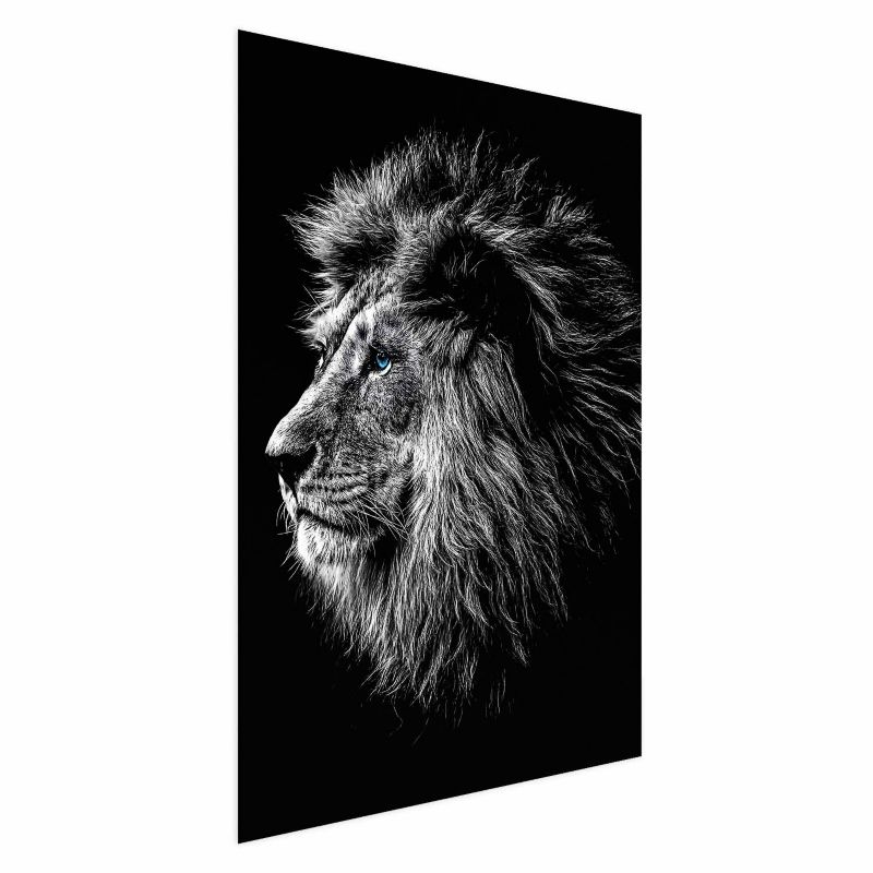 Plakat Artgeist Niebieskooki lew 29,7x42 cm bez ramy 1 szt