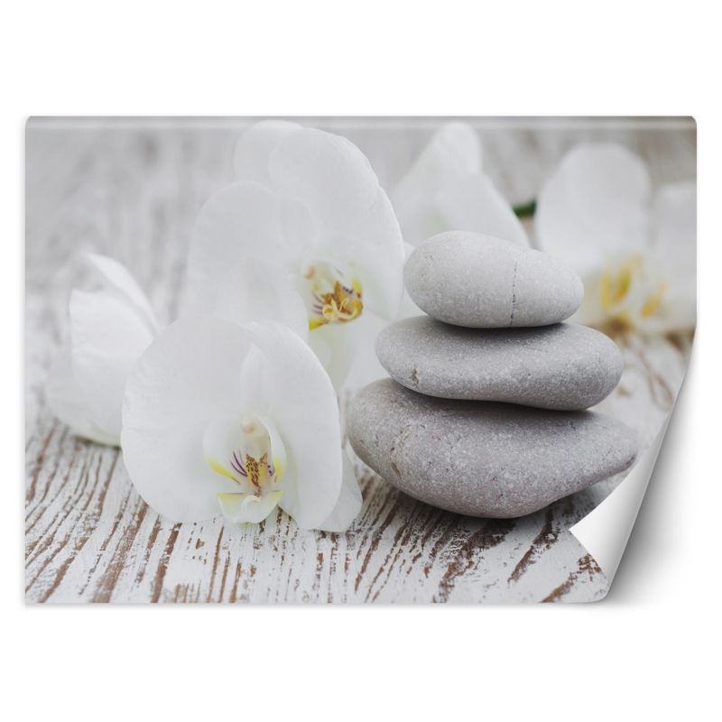 Fototapeta Feeby Kwiaty kamienie zen 400x280 1 szt