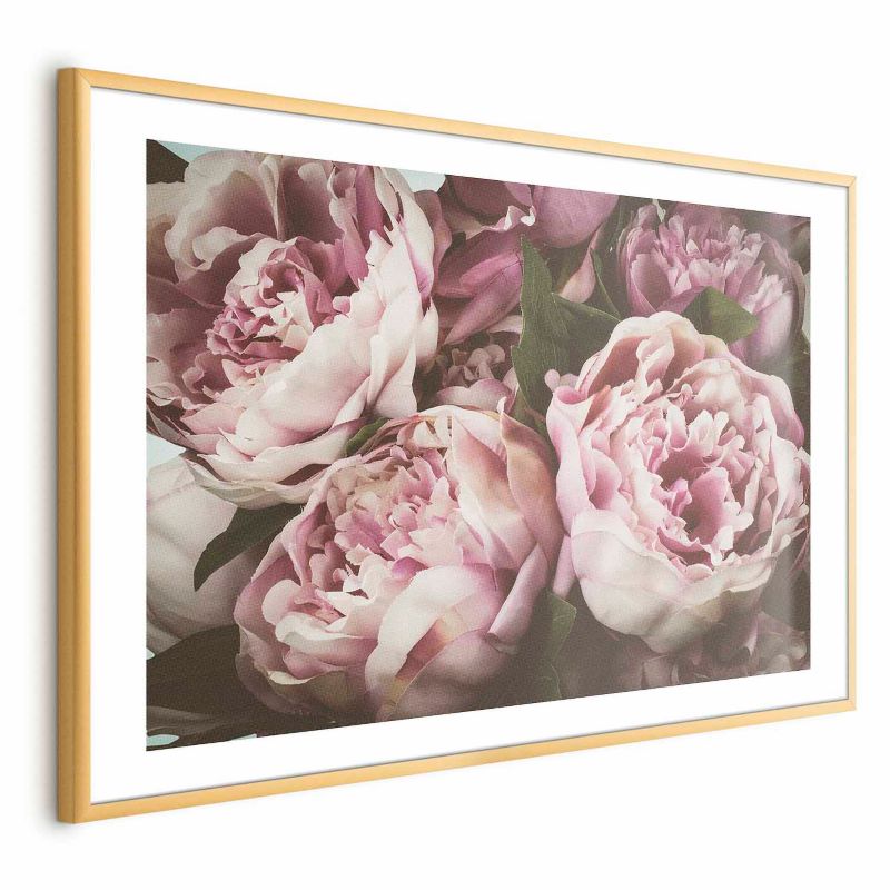 Plakat Artgeist Różowe piwonie 42x29,7 cm z ramą złotą 1 szt