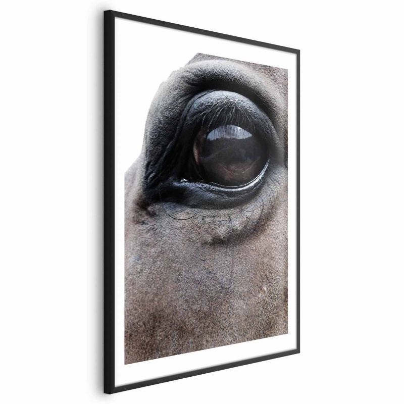 Plakat Artgeist Szczere oczy 60x90 cm z ramą czarną 1 szt