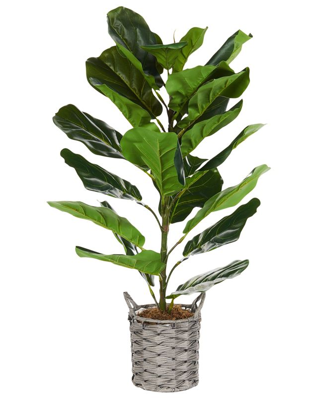 Sztuczna roślina Fiddle leaf tree Zielony 1 szt.