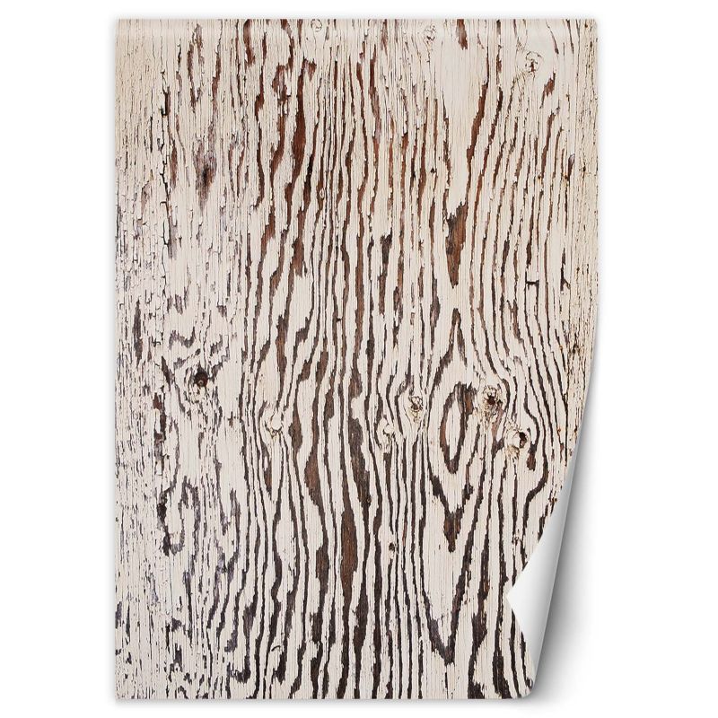 Fototapeta Feeby Drewno makro natura 150x210 1 szt