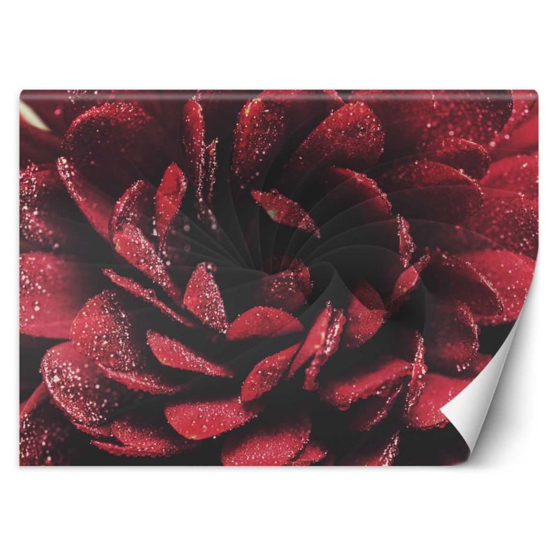 Fototapeta Feeby Kwiat makro 450x315 1 szt