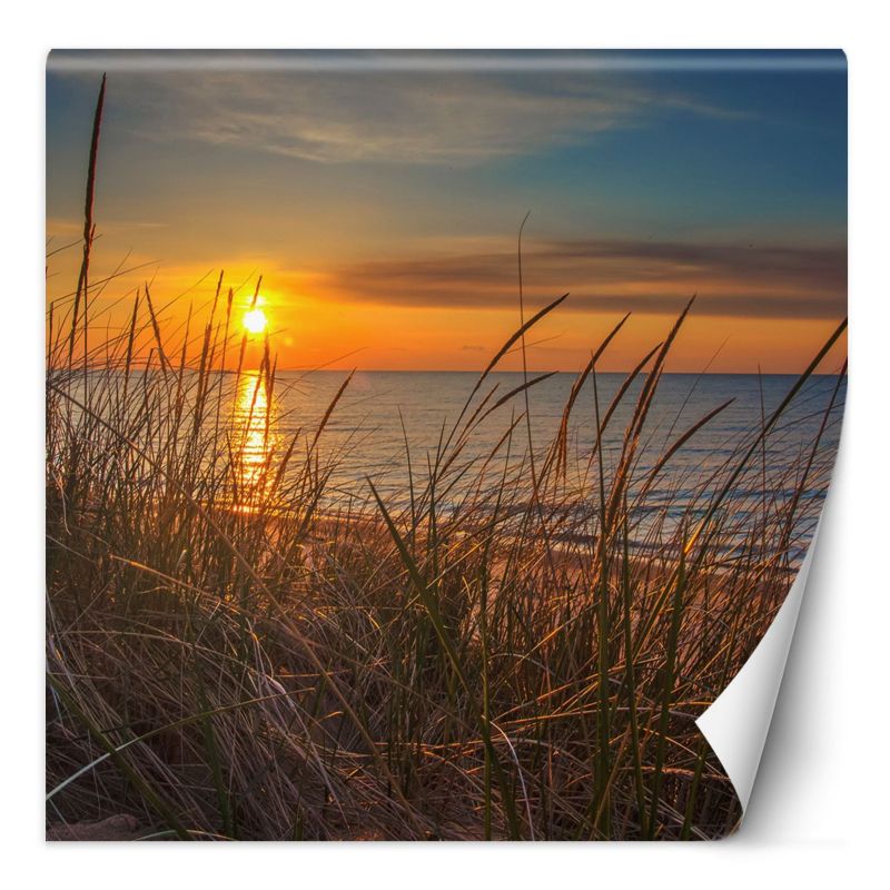Fototapeta Feeby Zachód słońca nad morzem 300x300 1 szt