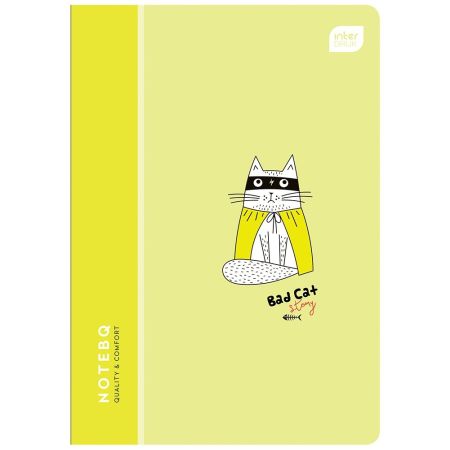 ZESZYT A5 16 LINIA KOLOR BB KIDS PASTEL