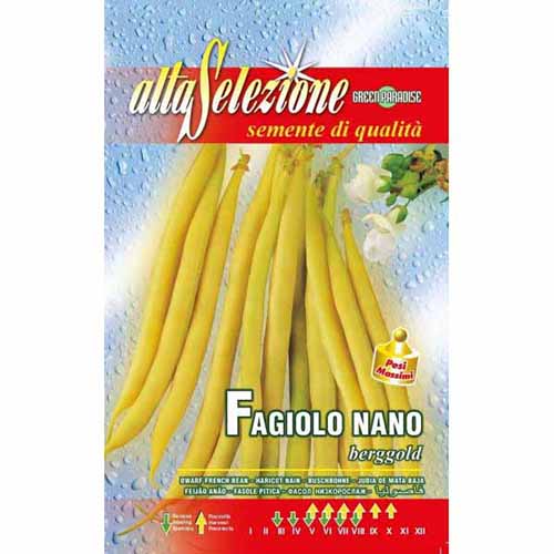 1 szt, Fasola szparagowa Berggold Morami - Nasiona: Ilość w opakowaniu: 250 g