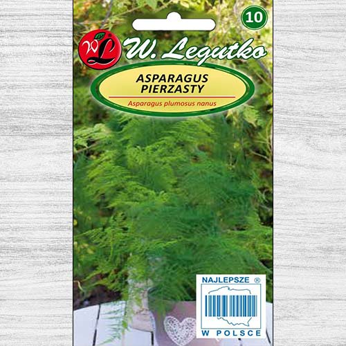 1 szt, Asparagus pierzasty - Nasiona: Ilość w opakowaniu: 0.5 g