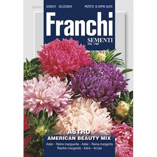 1 szt, Aster chiński American Beauty, mieszanka kolorów Morami - Nasiona: Ilość w opakowaniu: 2 g
