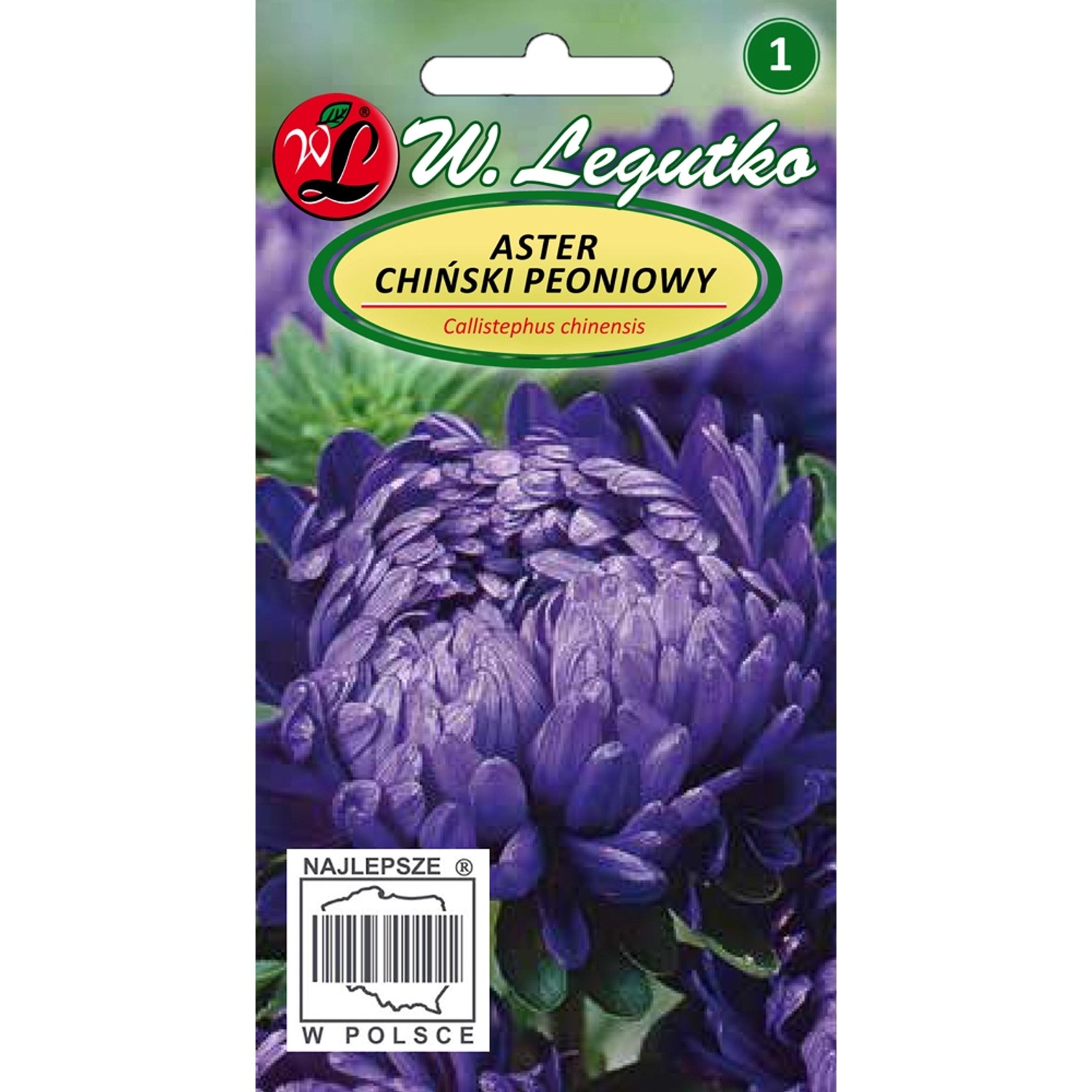 Aster chiński peoniowy fioletowy 1 g