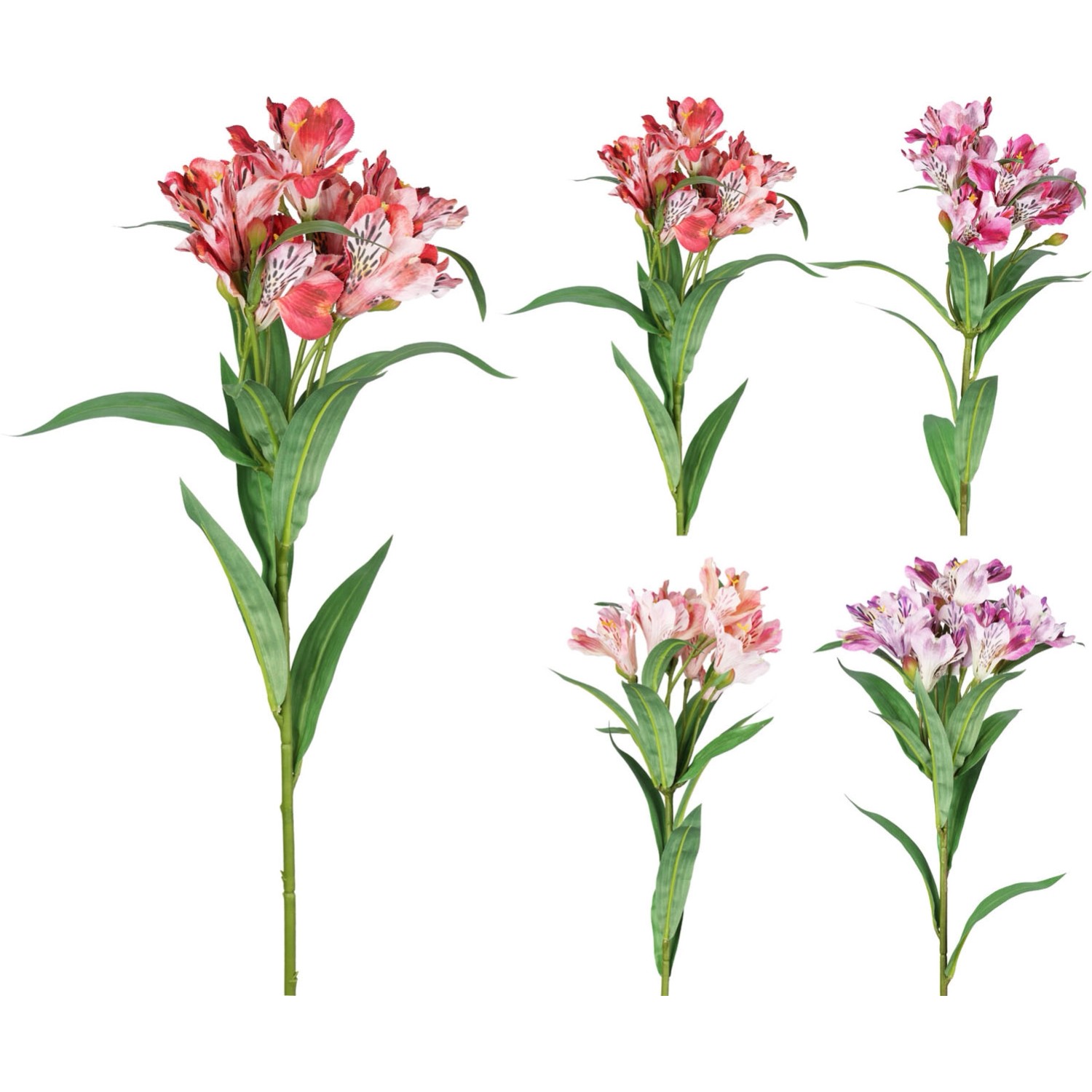 Gałązka kwitnąca Lilia, mix - wys. 80 cm