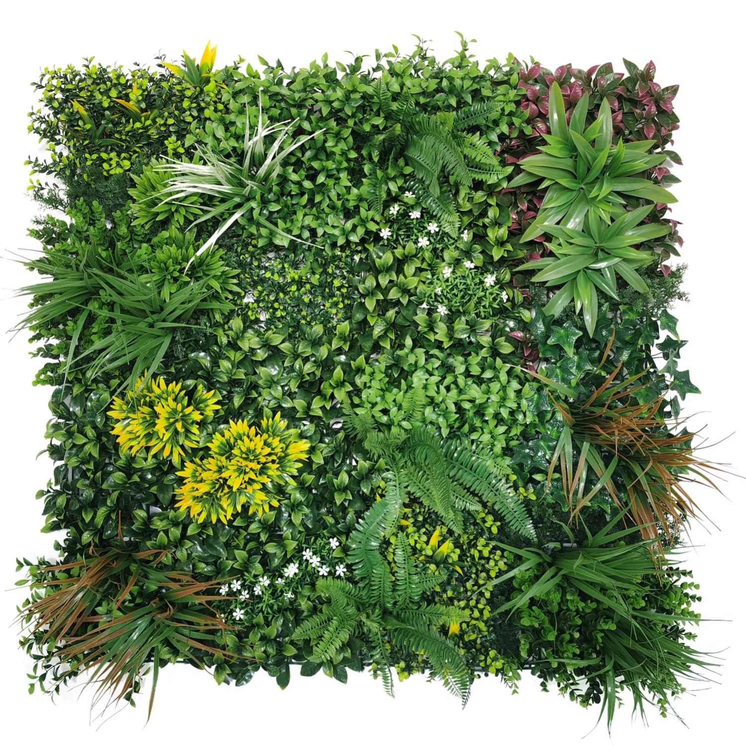 Panel Zielona ściana subtropiki 50 x 50 cm