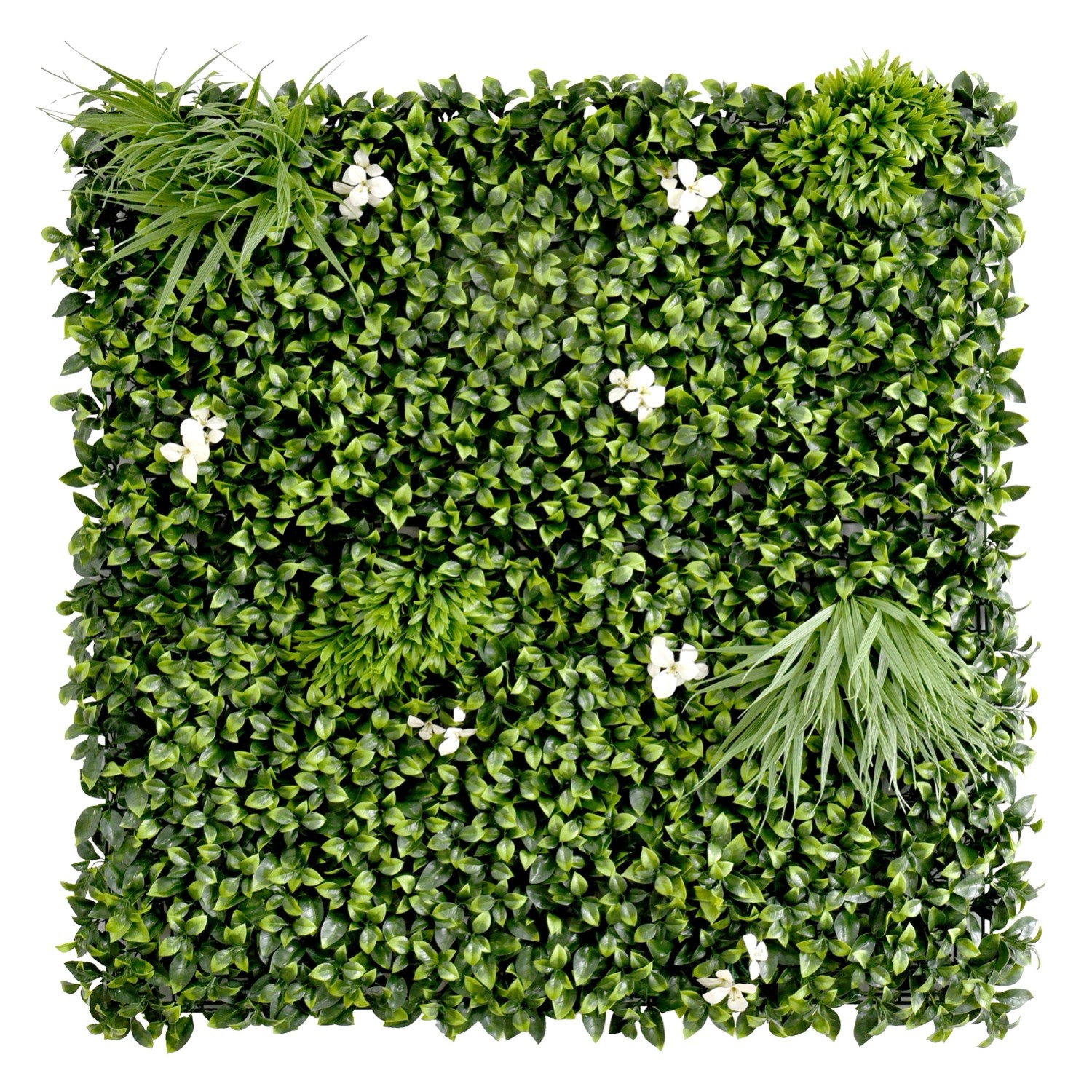 Panel Zielona ściana wiosenny ogród 100 x 100 cm