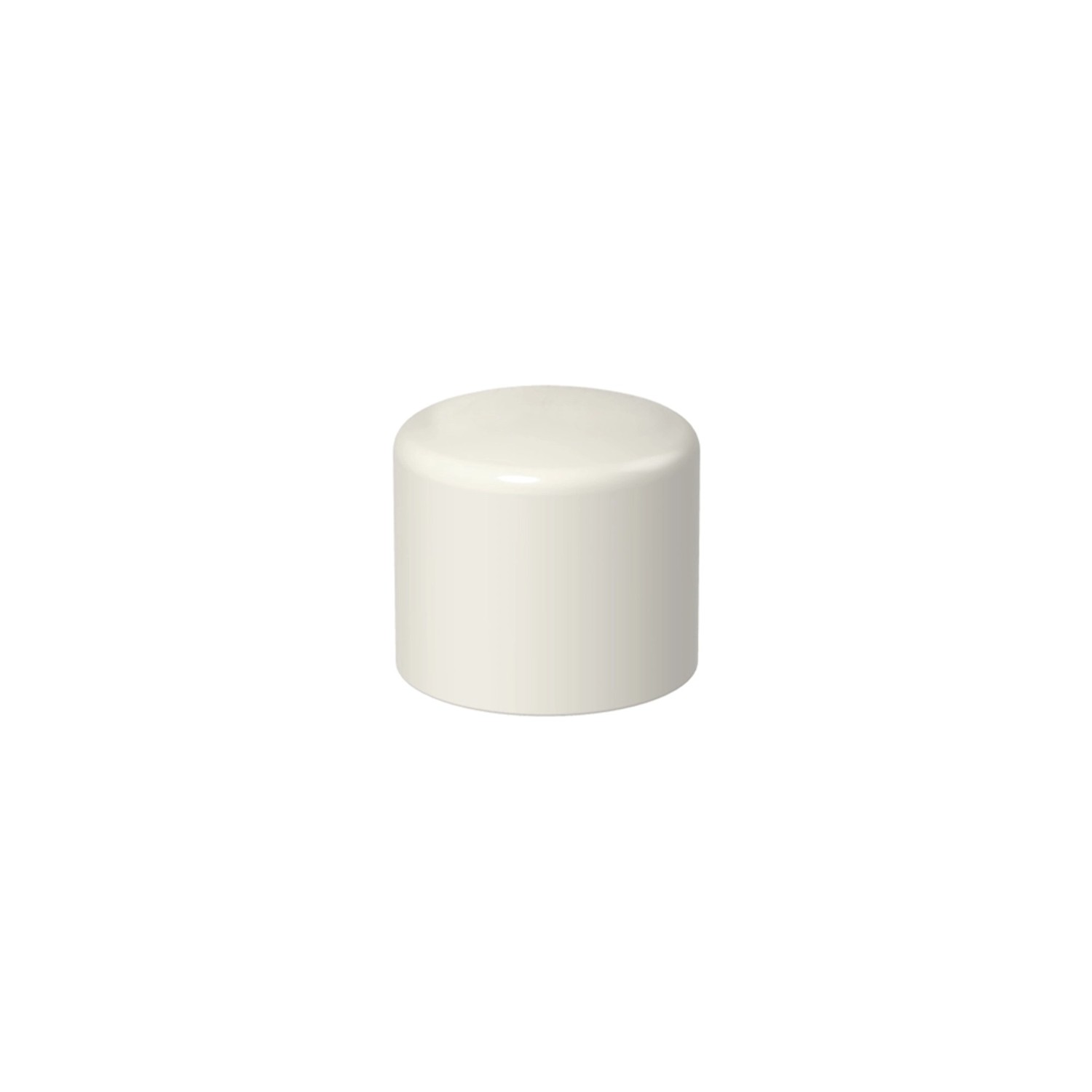 Zaślepka PVC 3/4" KW