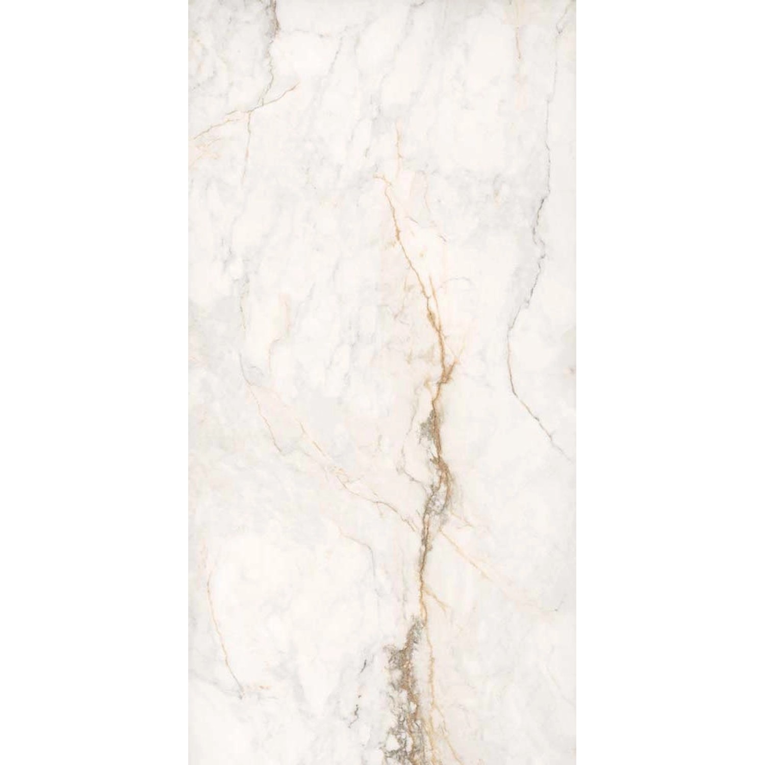 Gres szkliwiony polerowany Eagle 60 x 120 cm