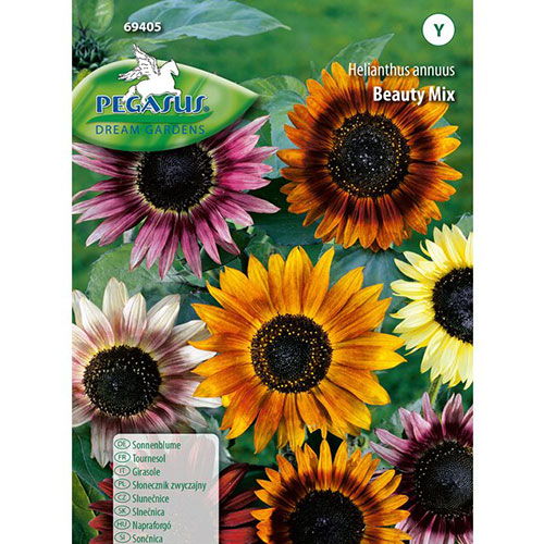1 pac, Floarea soarelui decorativă Beauty, mix multicolor - Semințe: Mod de ambalare: 1 pac