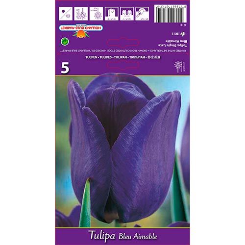 5 buc, Lalele Blue Aimable - Bulbi: Mod de ambalare: 5 buc