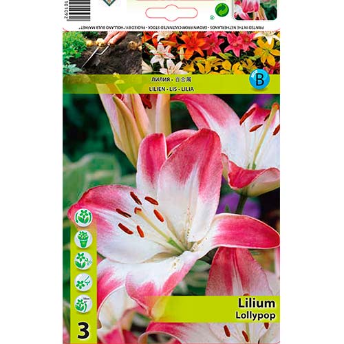 2 buc, Crin Lollypop - Bulbi: Mod de ambalare: 2 buc