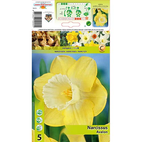 5 kus, Narcis Avalon - : Monžstvo balíkov: 5 kus