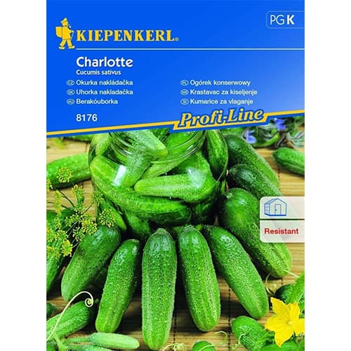 1 szt, Uborka Charlotte F1 - Magok: Mod de ambalare: 1 db