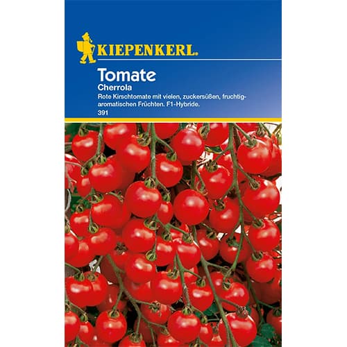 1 szt, Cherrytomate Cherrola F1 - Samen: Ilość w opakowaniu: 1 Stück