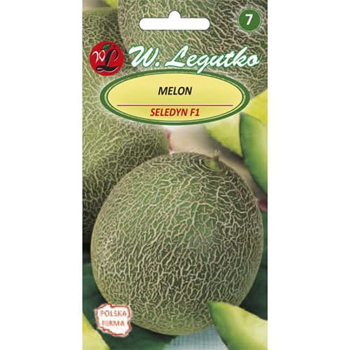 1 szt, Zuckermelone Seledyn F1 - Samen: Ilość w opakowaniu: 1 g