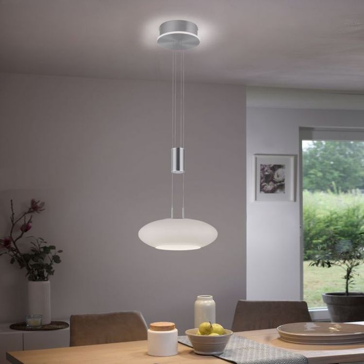 Paul Neuhaus Q-Etienne lampa wisząca 1x27,5W/1x6,3W LED stal 2075-55