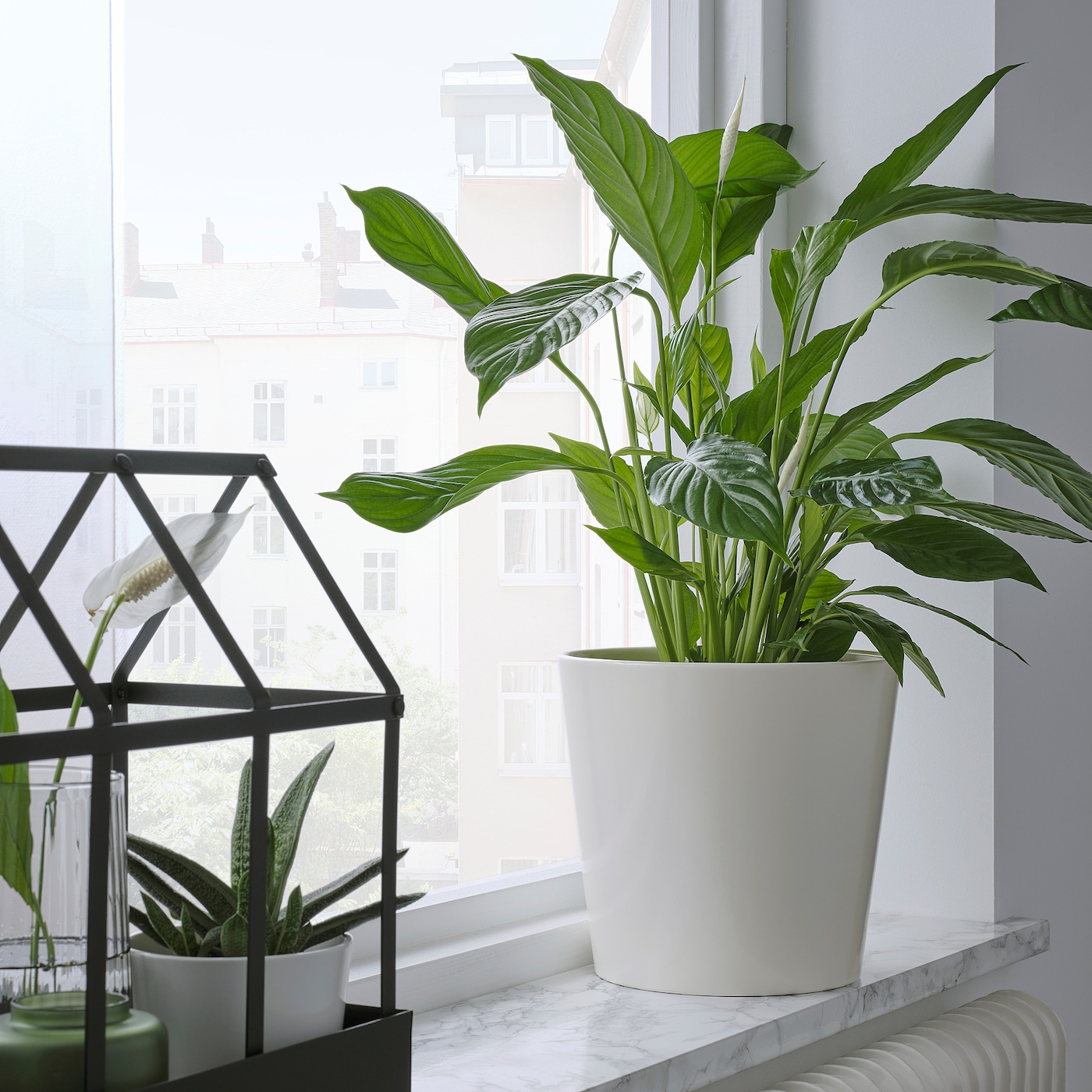 IKEA SOJABÖNA Osłonka doniczki, biały, 19 cm
