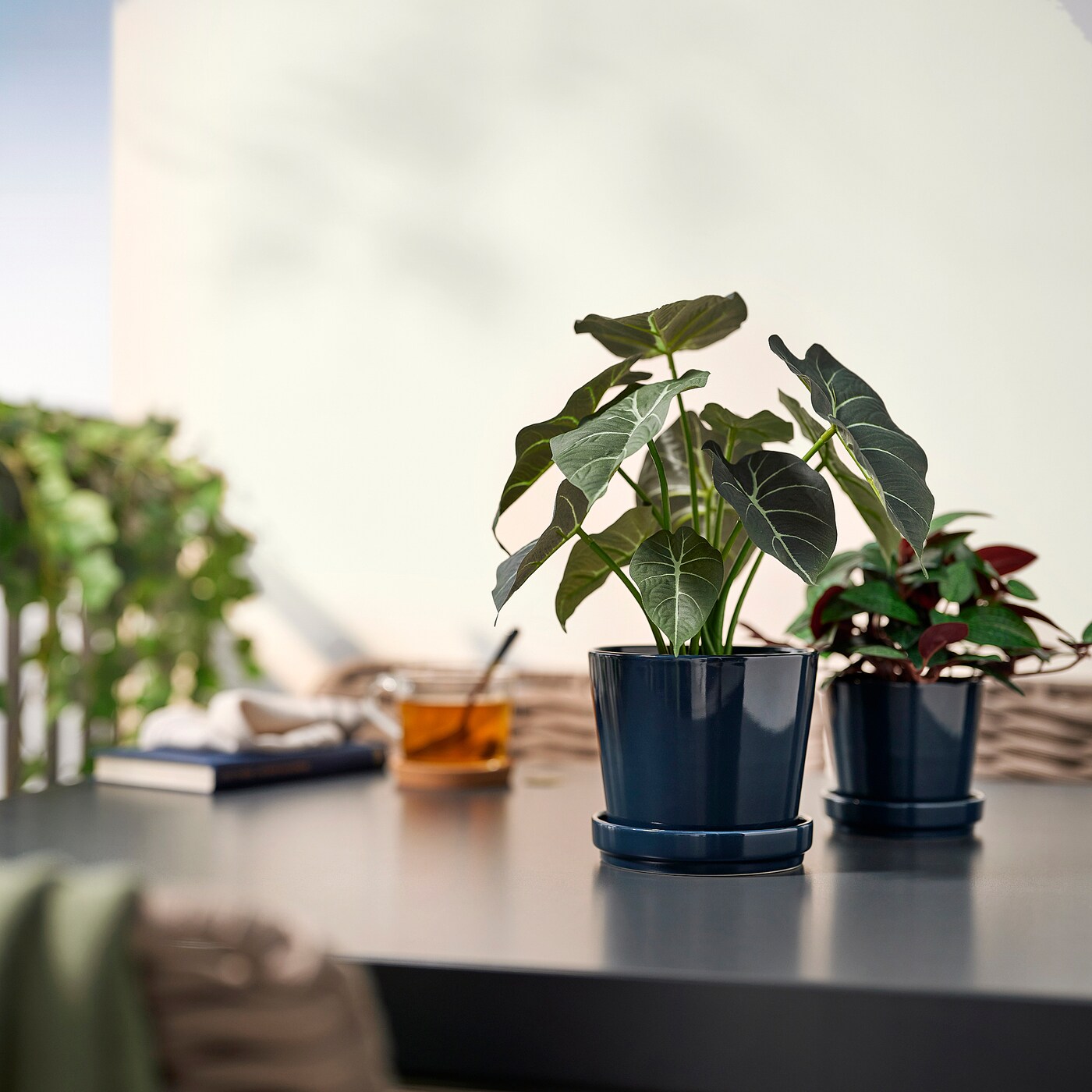 IKEA FEJKA sztuczna roślina doniczkowa, do wewnątrz/na zewnątrz alocasia, 12 cm