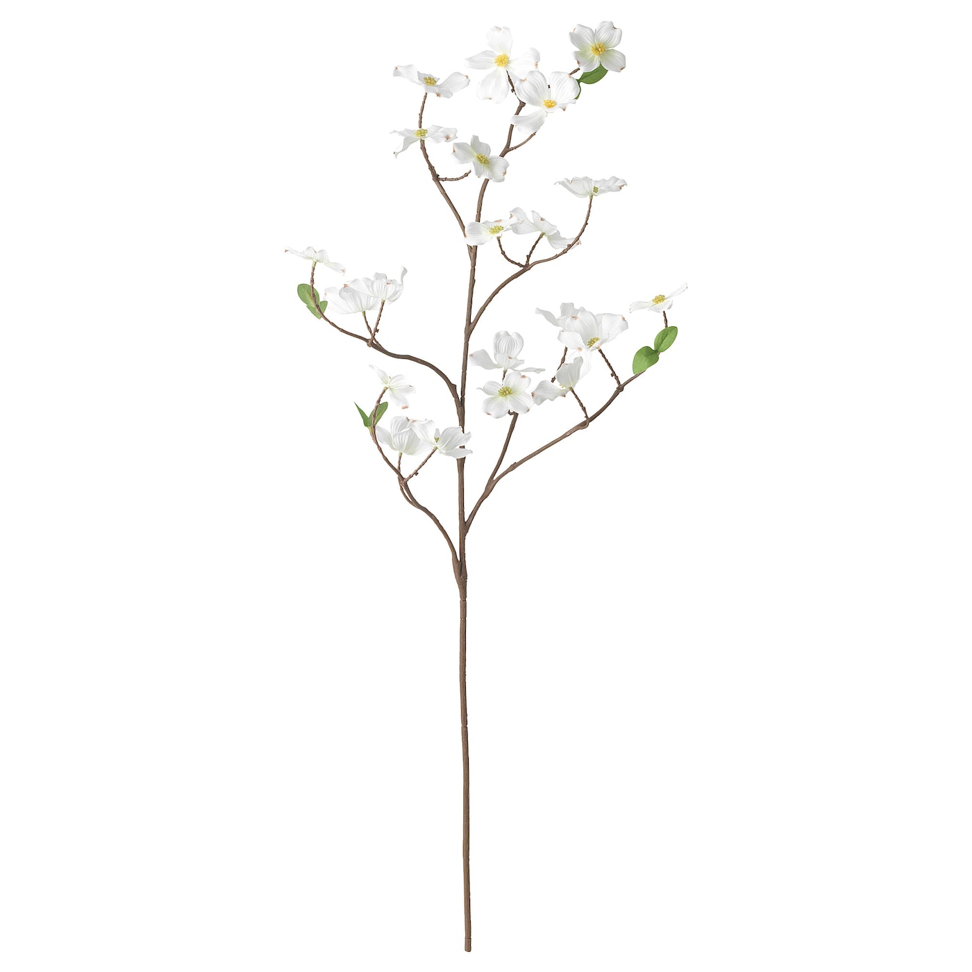 IKEA SMYCKA Sztuczna gałązka, do wewnątrz/na zewnątrz/Dereń biały, 100 cm