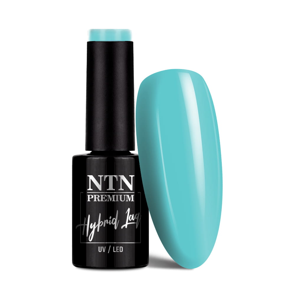 Lakier hybrydowy Ntn Premium Dessert Collection 5 g Nr 95