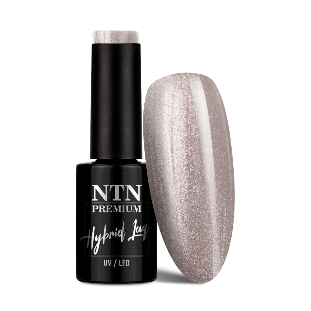 Lakier hybrydowy Ntn Premium Passion for Love Collection 5 g Nr 199