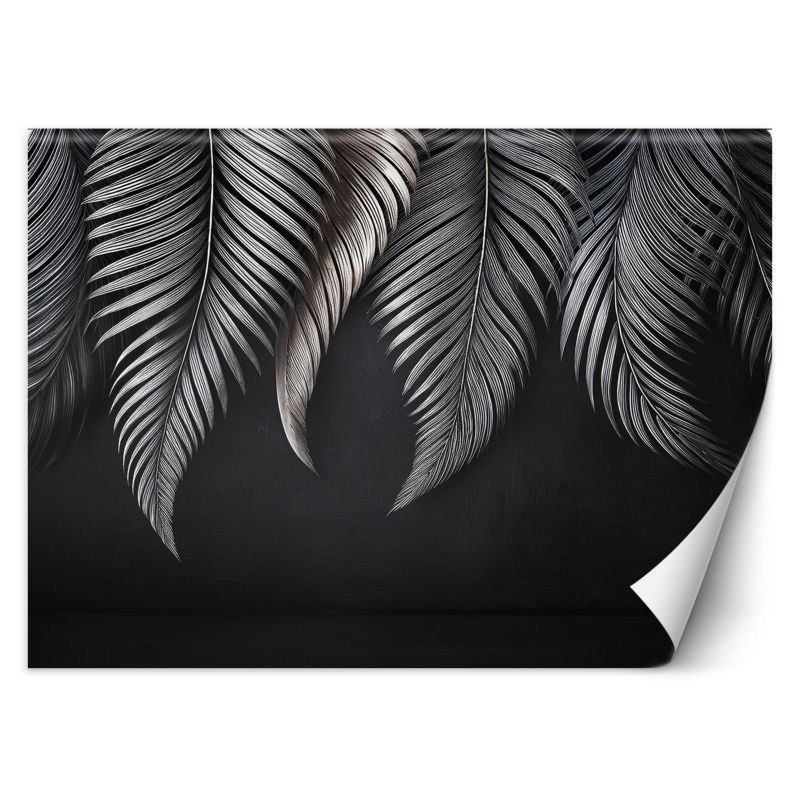 Fototapeta Feeby Liście bananowca szare 200x140 1 szt