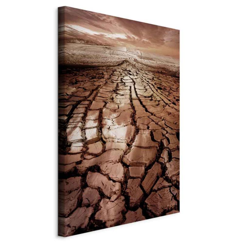 Obraz Artgeist Susza 60 x 90 cm płótno włoskie 1 szt